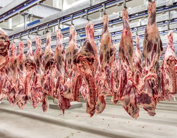 carne