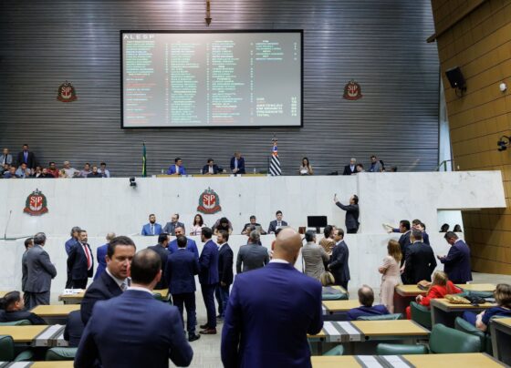 CNN Brasil