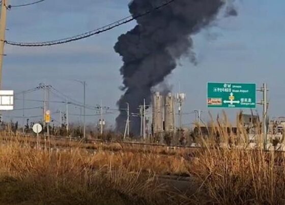 Avião bate e pega fogo em aeroporto na Coreia do Sul 9