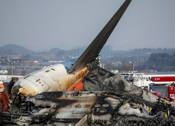 Brasil se solidariza com vítimas de acidente aéreo na Coreia do Sul 3
