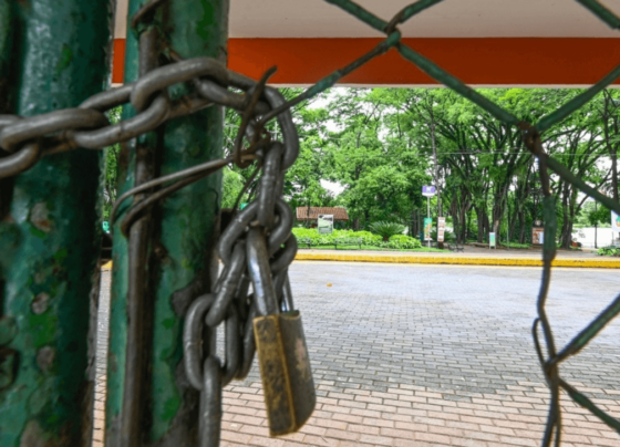 Bosques e parques de Campinas seguem fechados neste domingo (29) 3