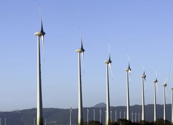 CMN muda juros de financiamentos com recursos do Fundo do Clima 16