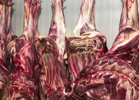 China abre investigação sobre importação de carne bovina 8
