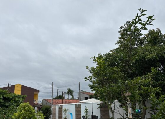 Confira a previsão do tempo para o último final de semana de 2024 8