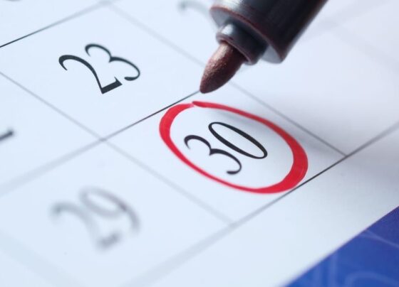 Confira os feriados e pontos facultativos de 2025 8