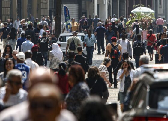Desemprego em novembro chega a 6,1%, o menor desde 2012 11