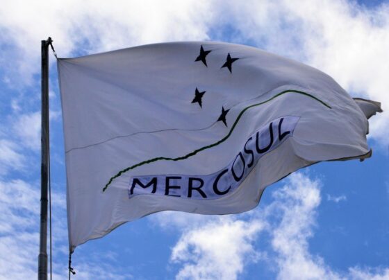 É surpreendente que a negociação do Mercosul-UE tenha sido concluída, diz especialista ao WW 7