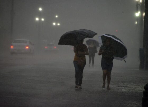Estado de São Paulo deverá ter temporais durante fim de semana, diz Defesa Civil 1