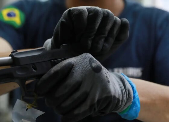 Governo adia em seis meses a fiscalização de CACs pela PF 14
