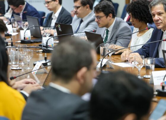 Haddad promete novas medidas de corte de gastos em 2025 10