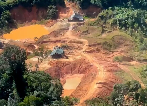 MPF celebra acordo com OLX para coibir exploração ilegal na Amazônia 8