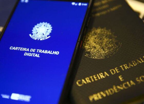Mercado de trabalho está conseguindo absorver oferta de mão de obra, diz especialista 1