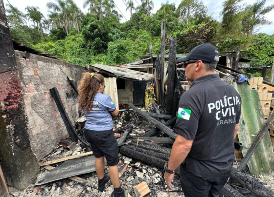 Mistério em Guaratuba: dois corpos são localizados e suspeito é preso 10