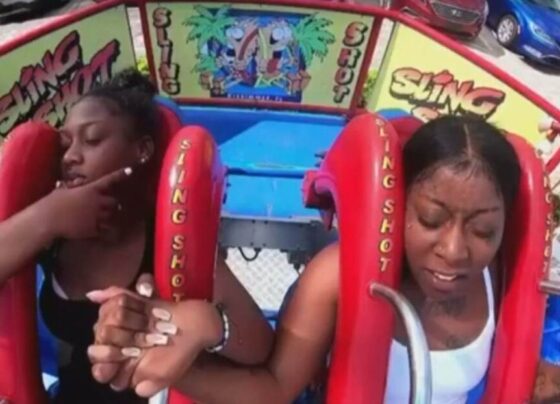 Mulher desmaia em brinquedo de parque nos EUA; assista 15