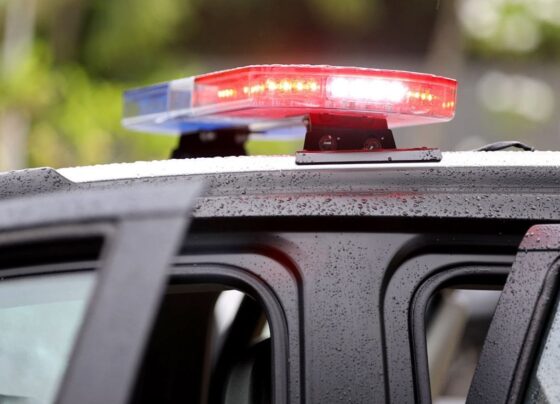 Capitão dos Bombeiros é preso por suspeita de estuprar filha e netos no DF 8