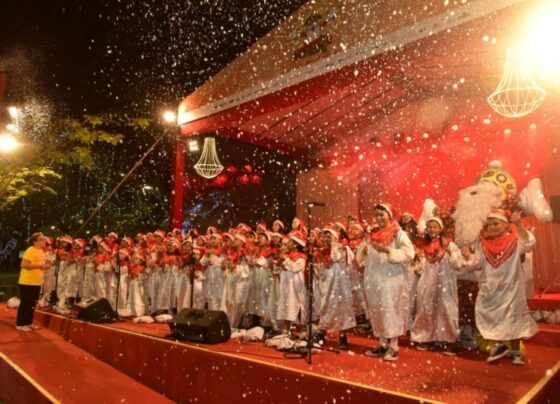 Natal Encantado chega a Ipiabas com programação gratuita 13