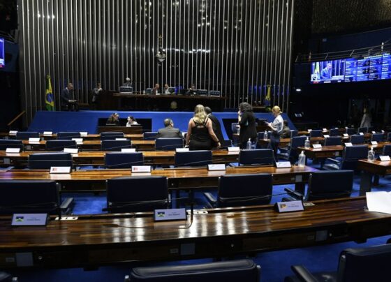 Senado aprova Regulamentação do Sistema Nacional de Cultura 5