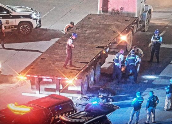 PF apreende 327 kg de cocaína e prende cinco suspeitos em Paranaguá 7