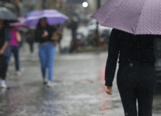 Pancadas de chuva atingem litoral sul e região metropolitana de SP 13
