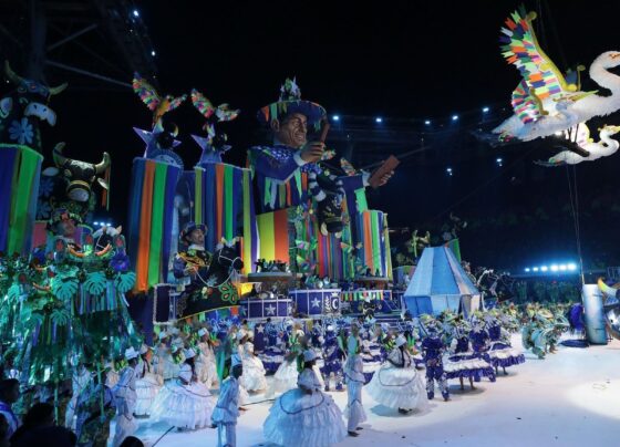 Parintins: Comissão do Senado reconhece festival como manifestação da cultura nacional 12