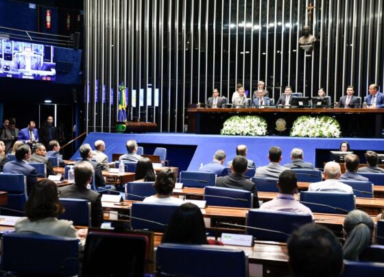 Plenário do Senado vota dívida dos estados nesta terça (13); acompanhe ao vivo 1
