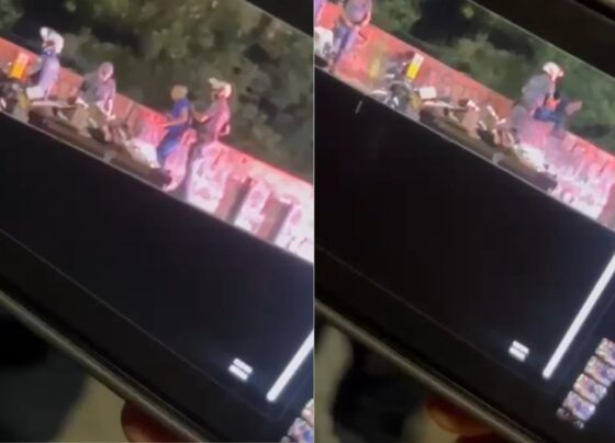 Porta-voz da PM de SP sobre violência policial: “É um absurdo que nos envergonha“ 15