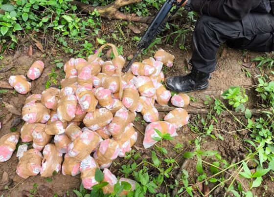 Quase 6 mil pinos de cocaína são apreendidos em Paraty – Informa Cidade 1