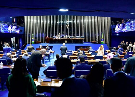 Senado aprova uso do vale-cultura em eventos esportivos; texto vai para sanção de Lula 2