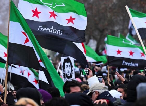 Síria: potências estrangeiras apoiaram 13 anos de guerra contra Assad 11