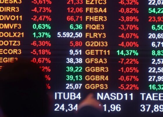 Taxa de custódia do Tesouro Direto deixa de ser cobrada semestralmente 13