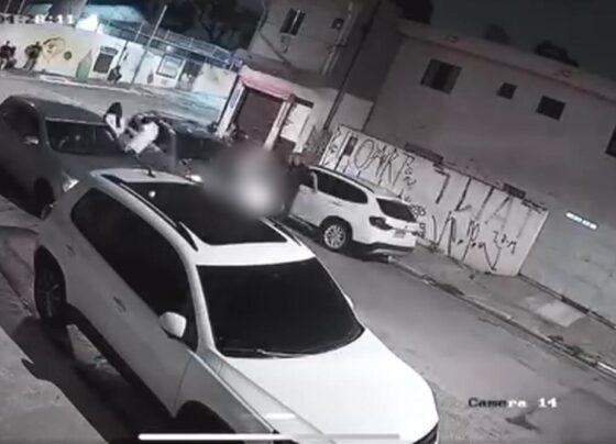 VÍDEO: Professora é atropelada e arrastada por carro ao voltar de festa de natal em SP 11