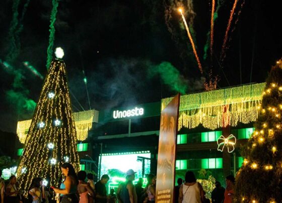 Vila Natal Unoeste traz magia e novas atrações para Guarujá  10