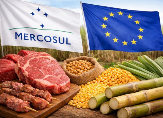 Acordo Mercosul–UE pode elevar exportações brasileiras em US$ 7 bilhões, estima Apex 13