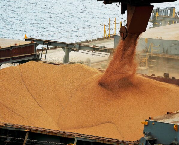 soja, porto, exportação, embarque, exportações, grãos