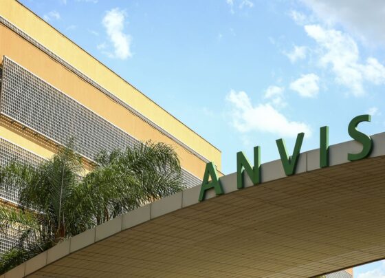 Anvisa recolhe molho de tomate suspeito de conter pedaços de vidro 15