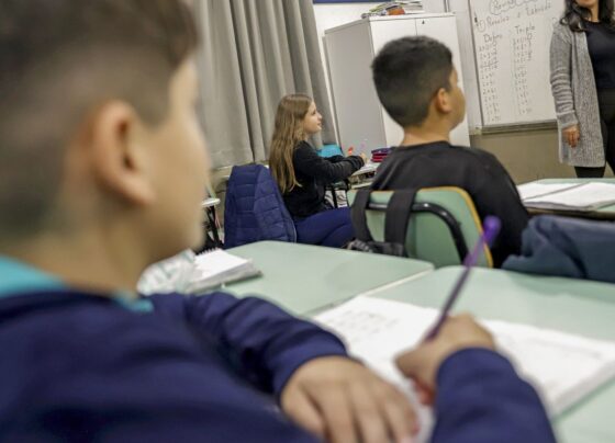 MEC estende até dia 17 o prazo para redes de ensino aderirem à PND 12