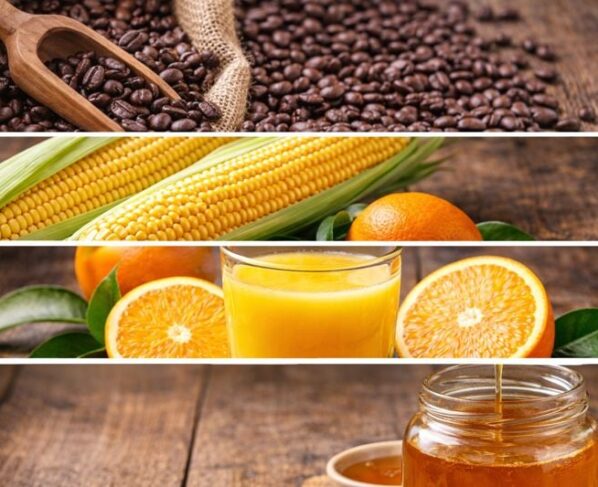 Café, milho, laranja e mel
