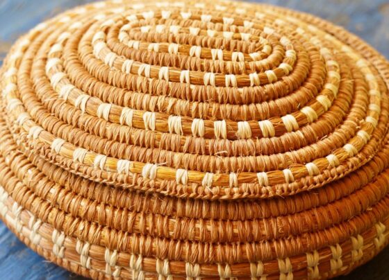 Capacitação amplia renda de artesãos indígenas no Alto Rio Negro 7