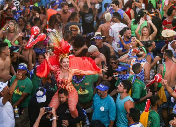 Carnaval no Recife terá mais de 3 mil atrações em 50 polos da cidade 19