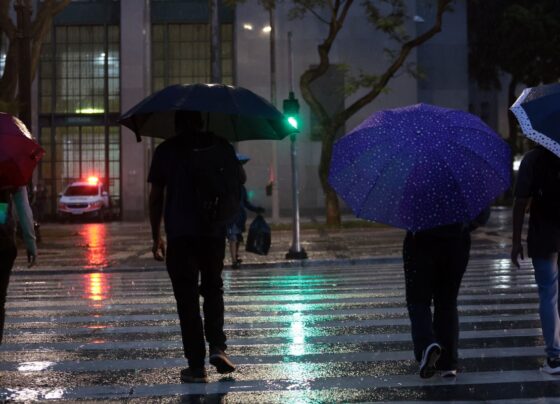Chuvas causam estrago em São Paulo e mais seis cidades 9