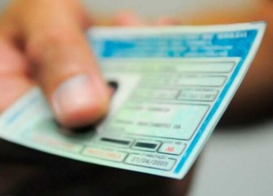 Como Funciona a Renovação Automática e Gratuita? 17