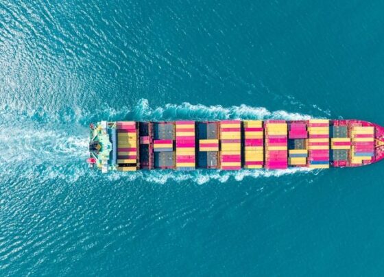 exportações brasileiras abertura de mercado