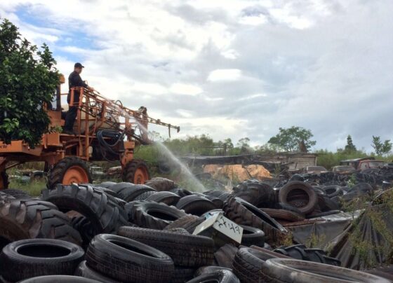 Ibama aponta que Brasil reciclou 90% dos pneus velhos do país 5