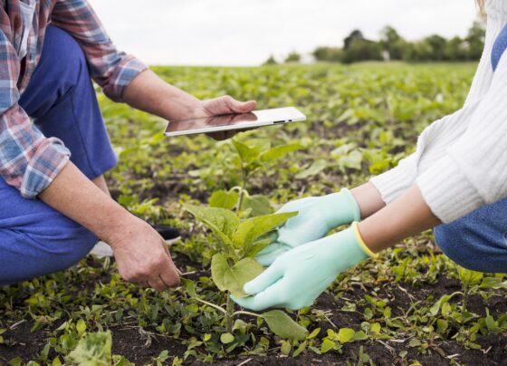 Trabalho, agro, mercado de trabalho, agricultura, tecnologia, gestão
