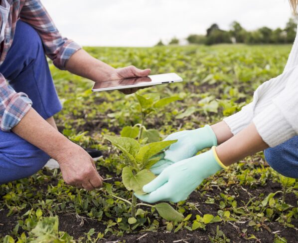Trabalho, agro, mercado de trabalho, agricultura, tecnologia, gestão