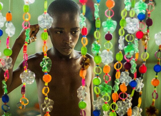 Mostra Ecofalante de Cinema 2026 tem inscrições prorrogadas 14