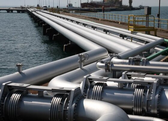 Novas embarcações da Petrobras triplicarão capacidade de transporte 19