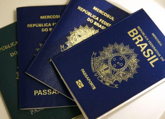 Ícone de Busca