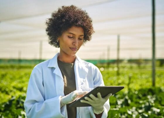 Por Que a Agricultura Global Precisa de uma Indústria de IA Soberana 11