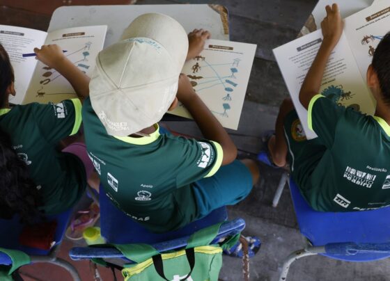 Prazo para contestar resultado do Selo Alfabetização termina hoje 11
